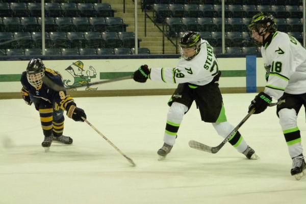 Great Hockey Shooting Technique!